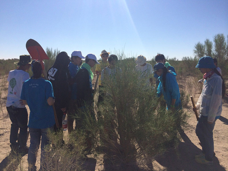 ������Ҫ��һ���ļ��ɺͽ�(j��ng)���ͬ�W���_ʼ������һƬ�����ַ��ز����^�m(x��)�����[�ص�����