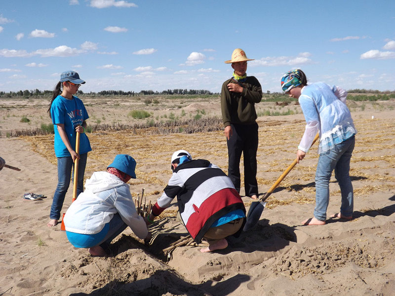 �@�N1.5��Ҋ�������ݸ�������ɳЧ����������^4��5���͕��L(f��ng)�g��������Ҫ�����a����