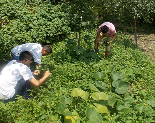 �ڶ������(du��)�T���_ʼ��(l��i)�����B(t��i)�r(n��ng)��(ch��ng)�w�(y��n)�r(n��ng)�����������ժ����