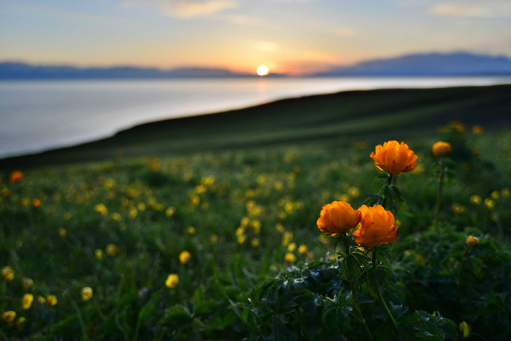 ��������l(xi��ng)�ĸ����