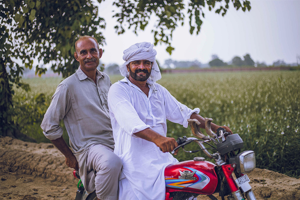 芝麻種植基地給當(dāng)?shù)厝藥砀嗑蜆I(yè)機(jī)會(huì)。（人民網(wǎng)記者 薛丹攝）
