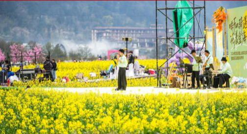 貴州貴定：金色花海綻春光